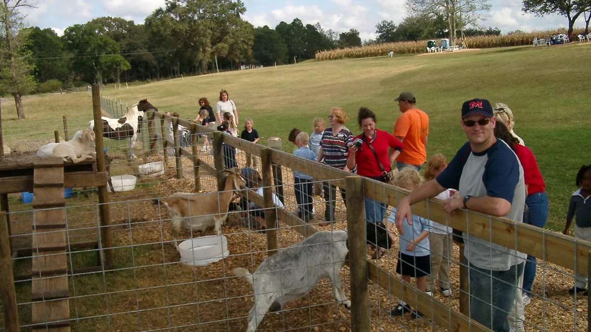 Families leaning on the barnyard fence to see the goats and sheep