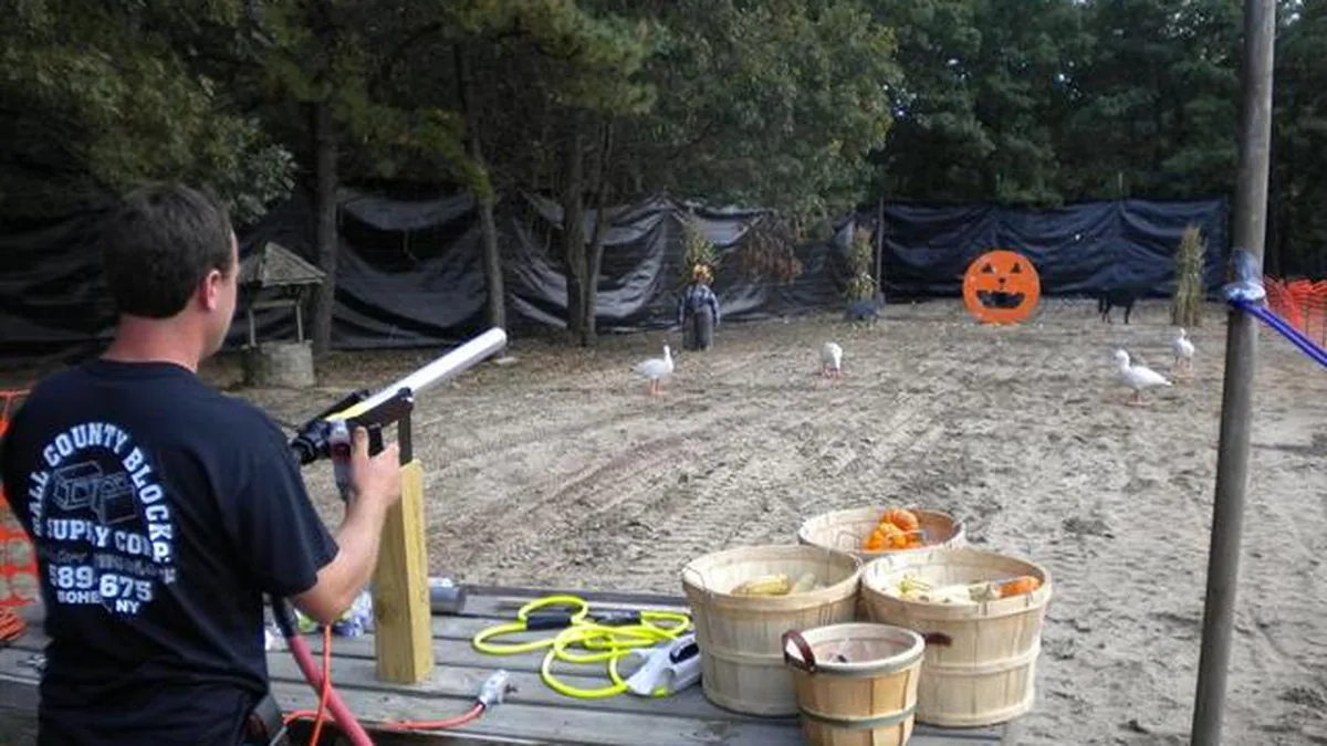 Guest firing the tomato cannon at pumpkin targets across the field