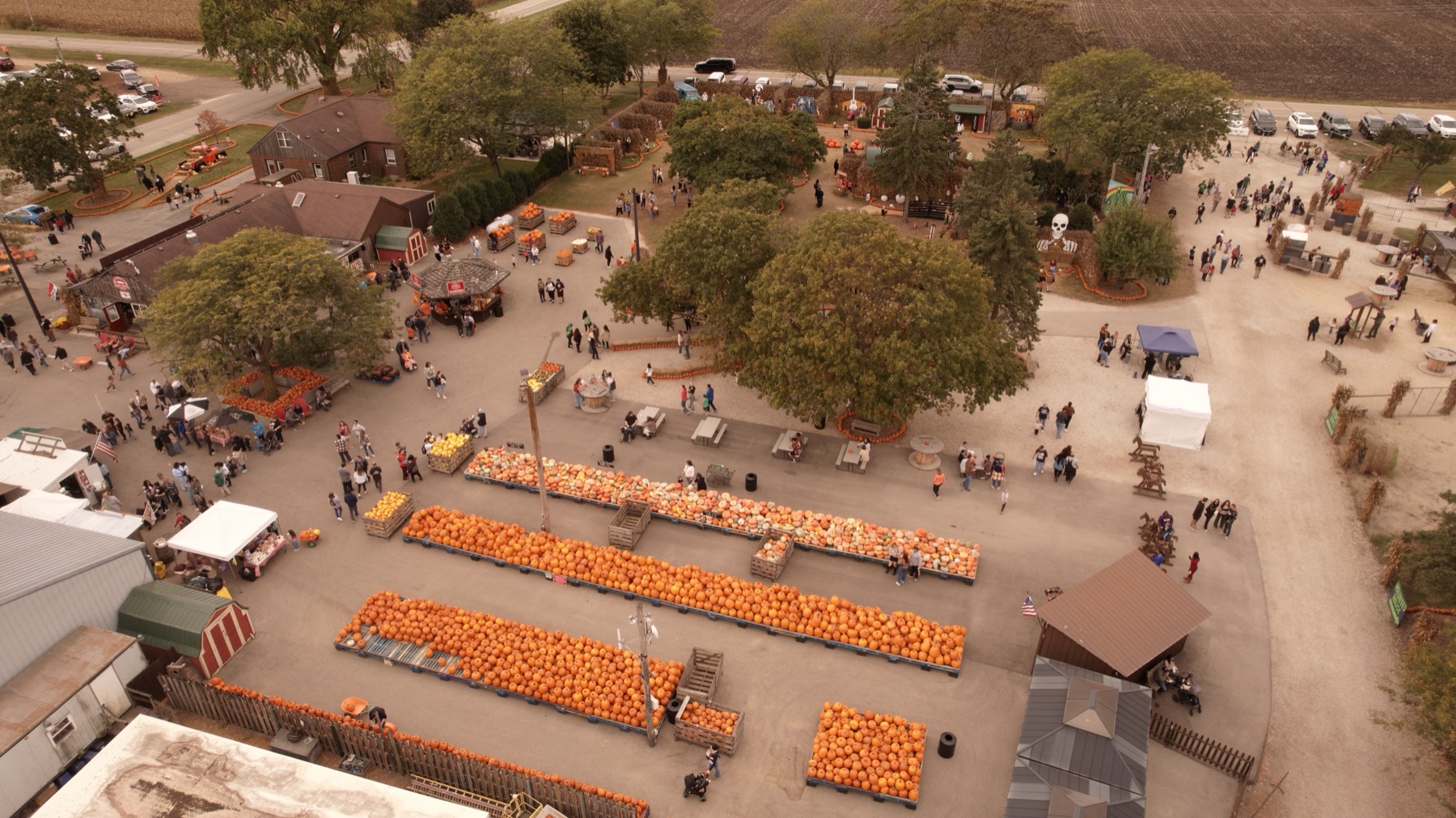Fall on the Farm — Jerry Smith Farm